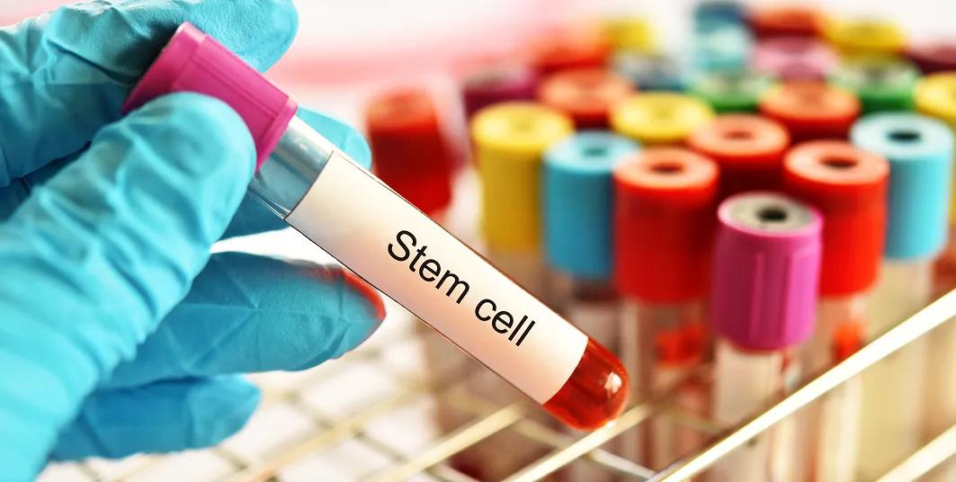 人一生仅有一次的救命脐带血，到底要不要存？