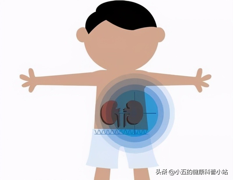 探索银花泌炎灵片的抗炎之旅,银花泌炎灵片治愈效果