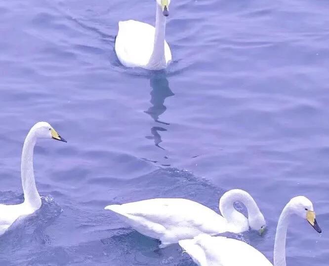 浜屽叓瀹氬緥濡備綍杩愮敤鍒板伐浣滀腑,濡備綍杩愮敤浜屽叓娉曞垯鎸囧鏃ュ父瀛︿範