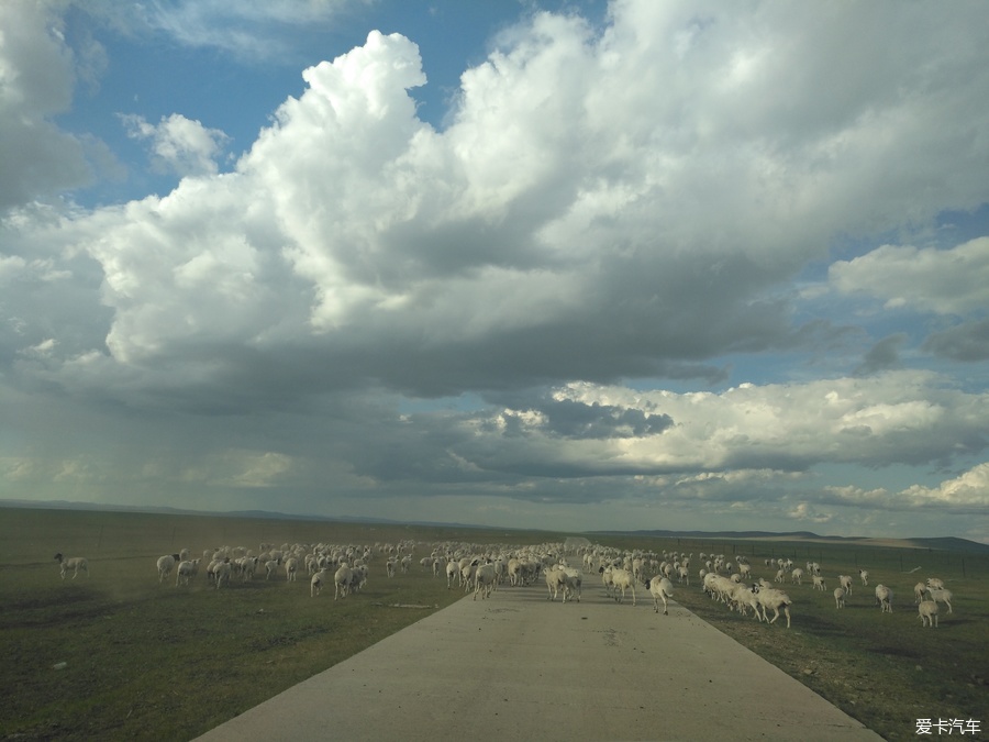 自驾囧途时刻,自驾游闯关东视频
