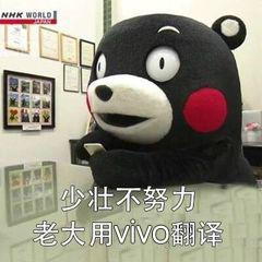 vivo手机怎么设置翻译功能,vivo手机怎么调出翻译功能