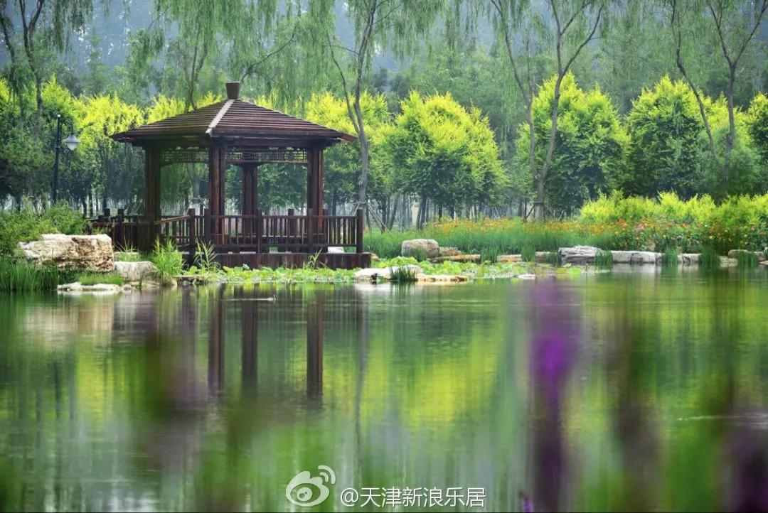 武清区最新发展情况,武清城市的变化