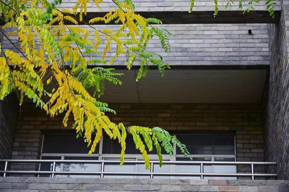 辽宁省普通高等院校,辽宁省沈阳本科大学