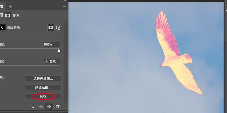ps各种蒙版使用教程,ps入门学习如何使用蒙版