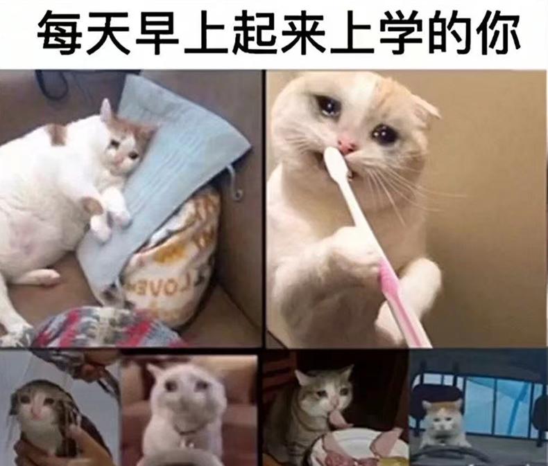 怎么接吻才能抓住男人的心,如何接吻让对方感到舒适