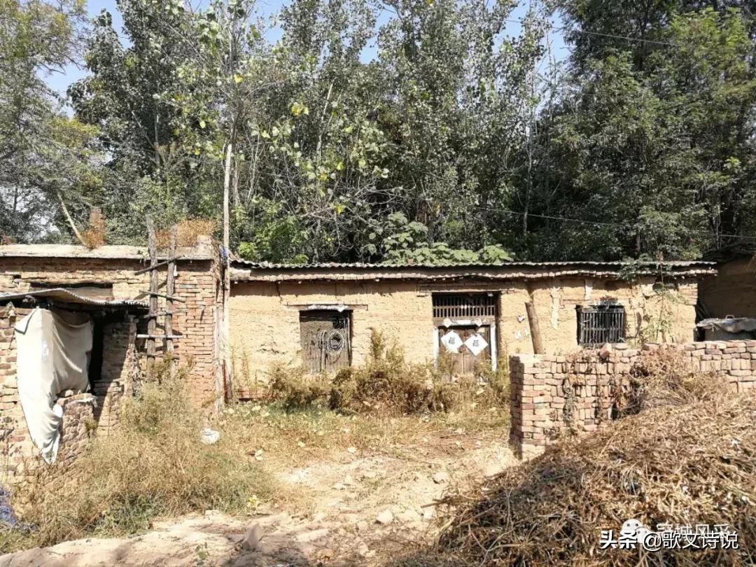 冠县贾镇高庄铺村,冠县乡韵北馆陶宗屯村