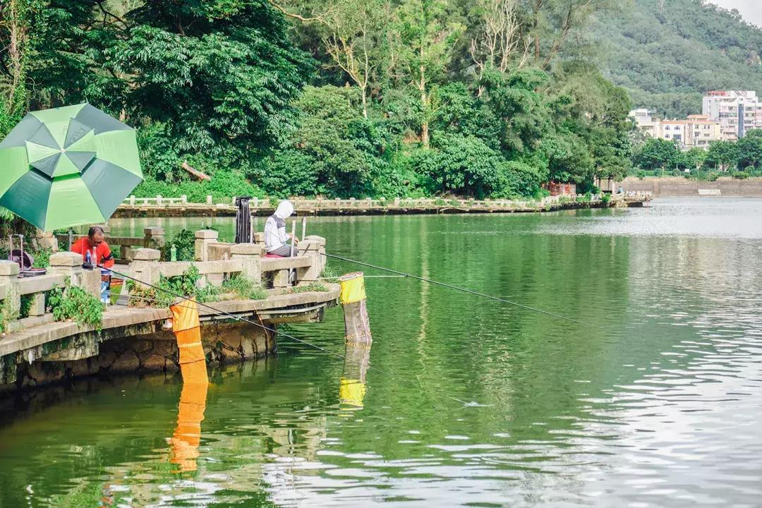 深圳银湖山游玩,深圳银湖有什么好玩的地方