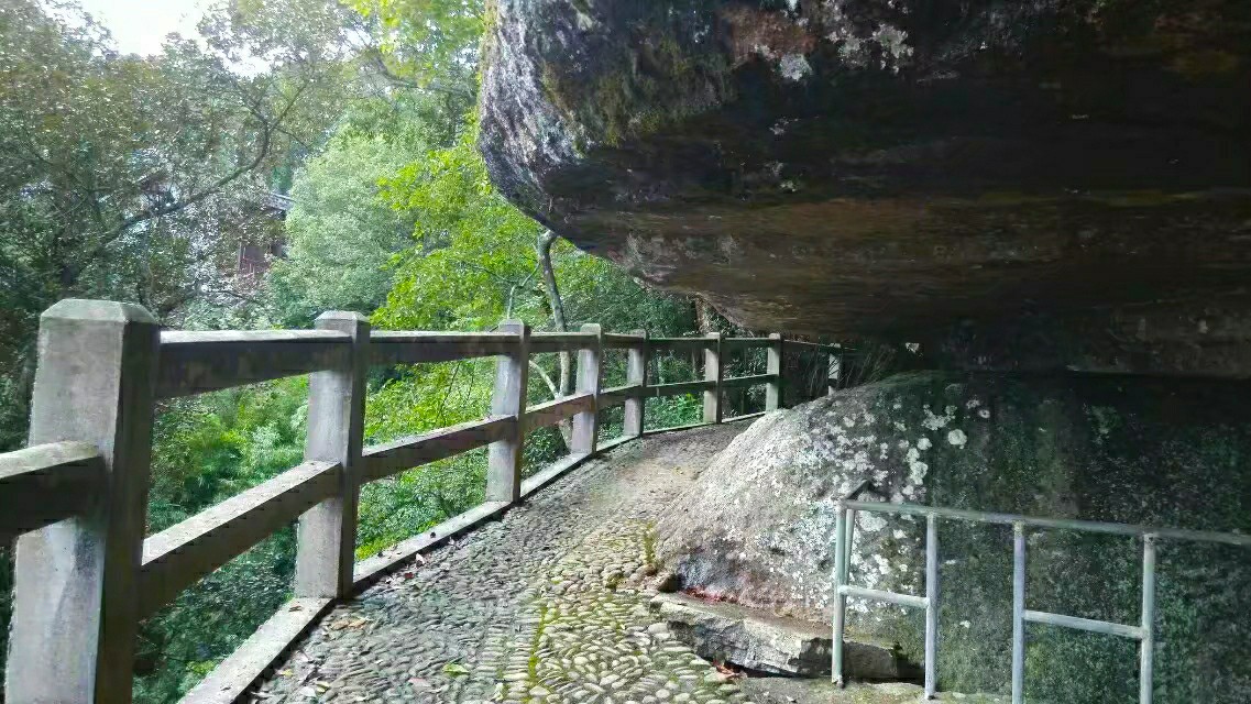 鬼斧神工崖柏,鬼斧神工刺青工作室