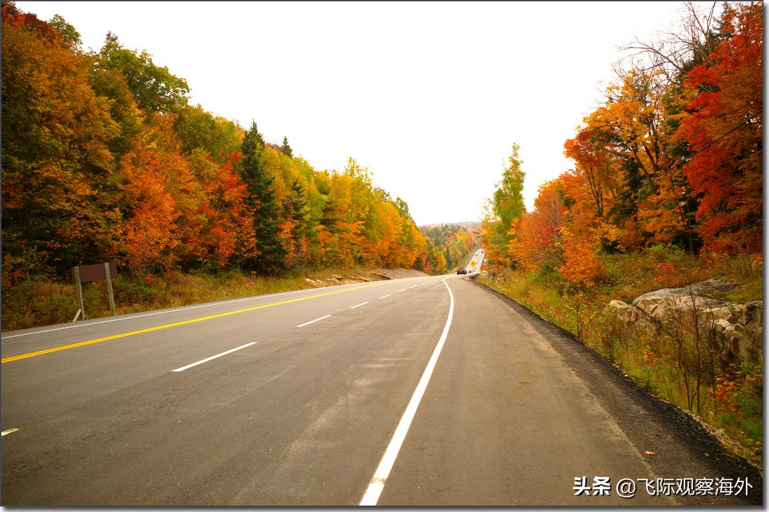如何成功移民加拿大？这些加拿大移民流程步骤大家要记牢