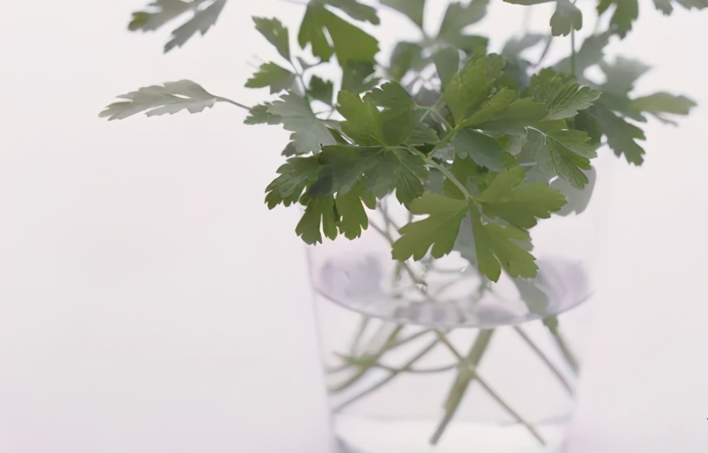 香蕉放冰箱里保鲜可以吗,把香蕉放在冰箱里冻好吗