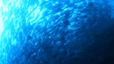 去哪个马尔代夫好玩,度假胜地马尔代夫