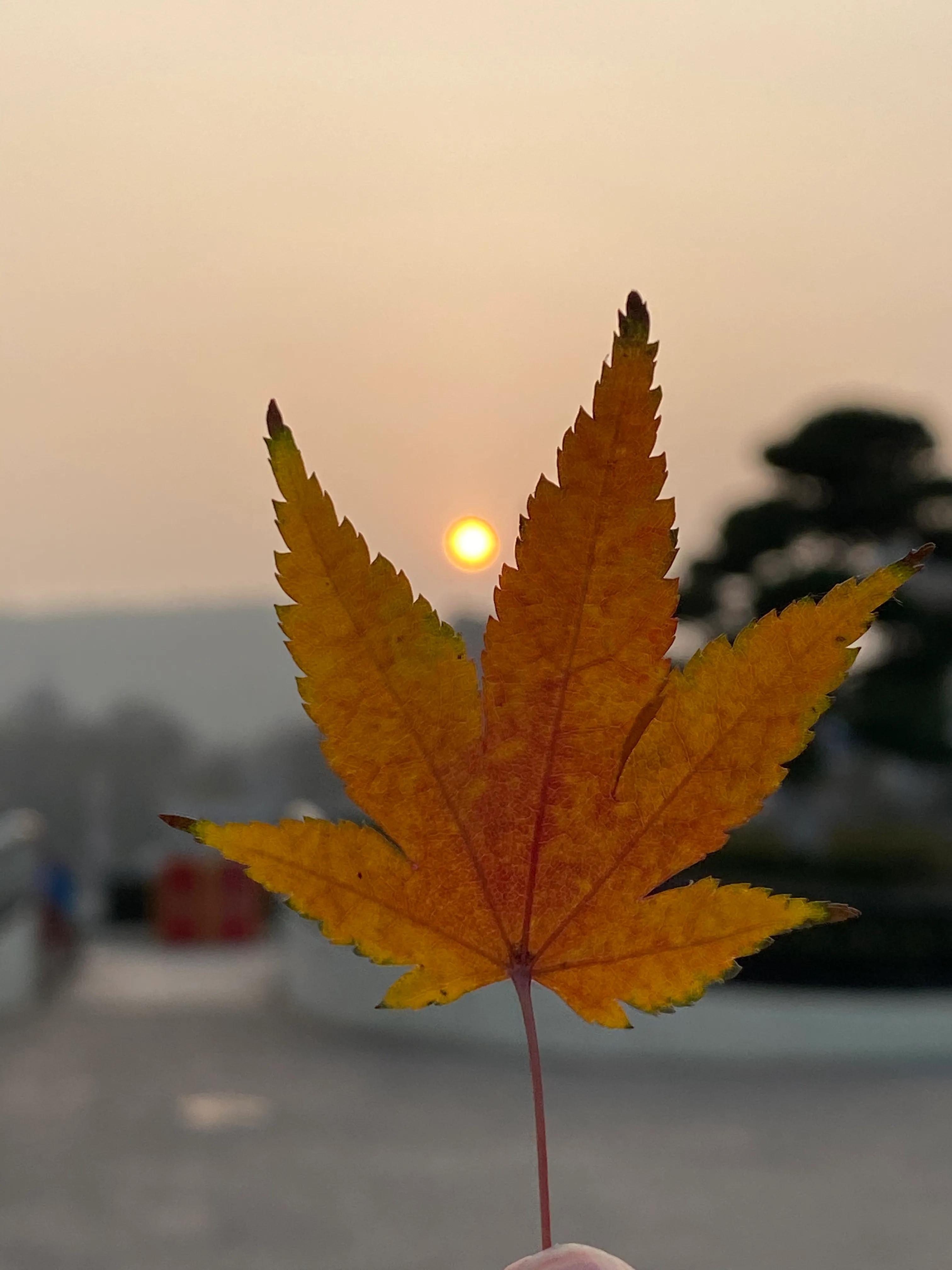 常州嬉戏谷夜公园游玩攻略,常州嬉戏谷攻略二点到十二点