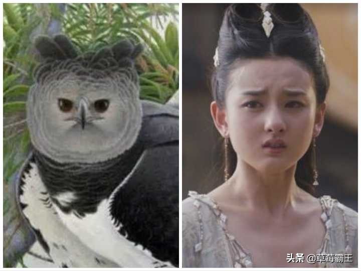 8位标准的都市美女，古装扮相略显违和，一换上现代装就艳丽逼人