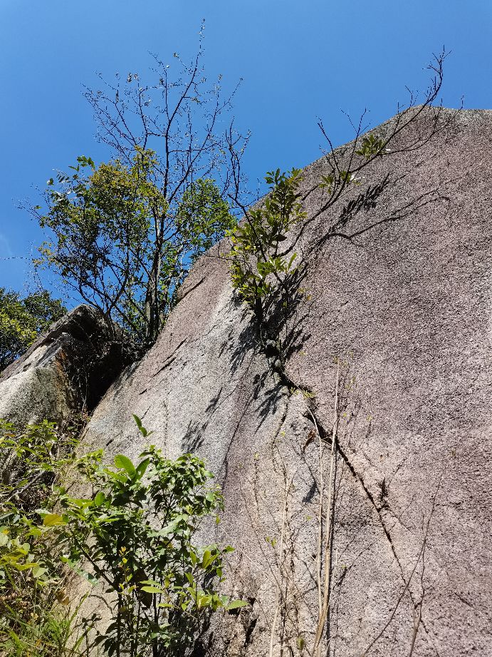 温州瓯海古洞岩景区,温州市瓯海仙岩风景区