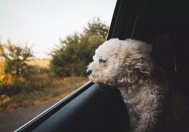 年轻人没事别总是上网,年轻人没事别想着辞职