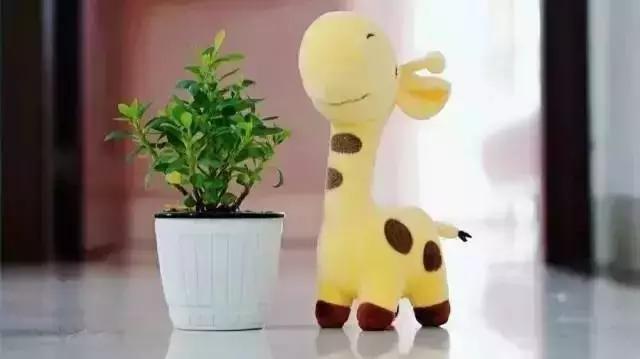 你的微信名暴露了你的层次,你的微信昵称暴露了你的社会阶层