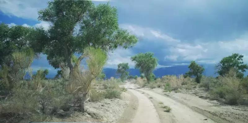 达人西游|精河的美，你想象不到！