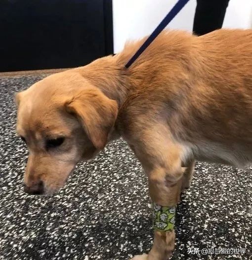 鏅氫笂瀹堕噷杩涗簡涓嶆槑鐢熺墿,鐢峰瓙鍗婂鍥炲閬囦笂涓嶆槑鐢熺墿