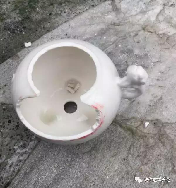 切割陶瓷酒瓶做花盆最简单的方法,没有工具怎么把陶瓷酒瓶弄成花盆