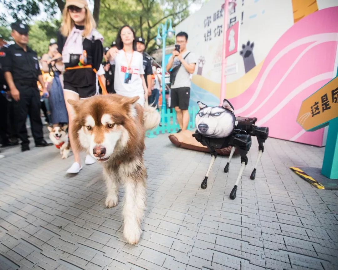 杭州凭什么最具幸福感 (杭州一幅幸福的模样)