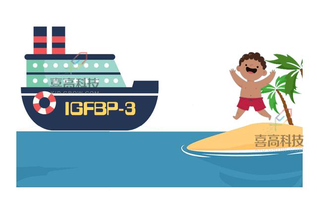 生长因子三项报告单怎么看,查什么可以知道生长因子