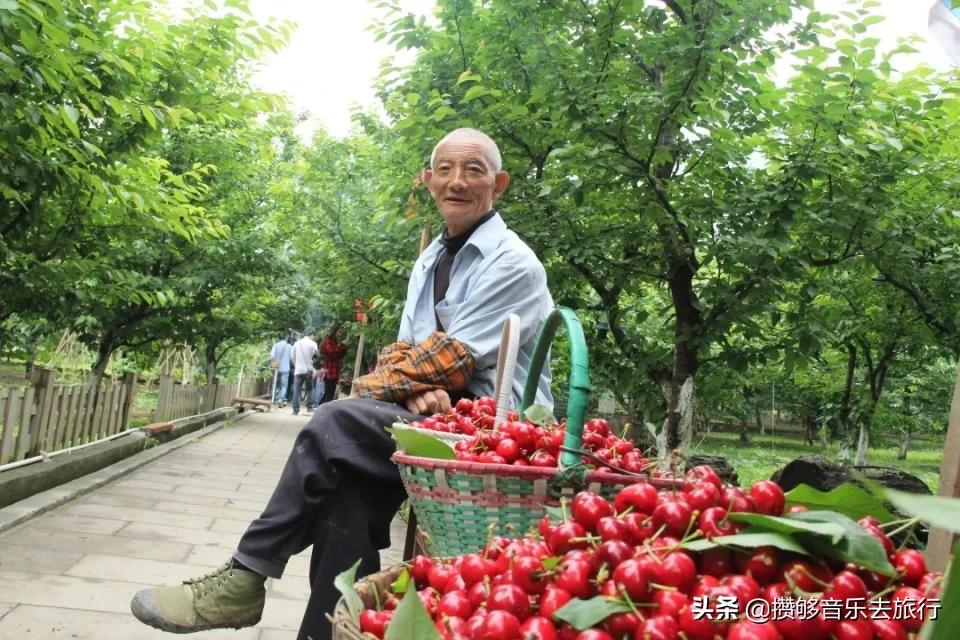 汶川三宝特色水果产业,汶川三宝果园