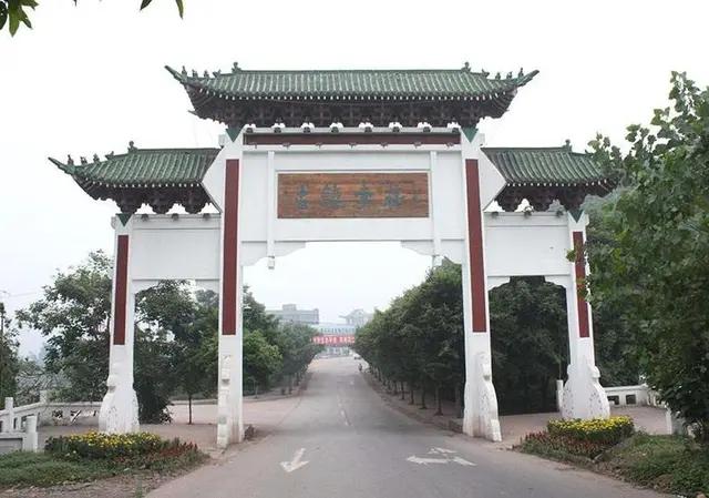 我的中国心中文版,我的中国心全集