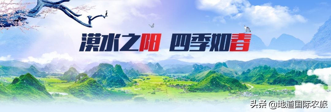 桂林阳朔康养旅游可以去哪,阳春小桂林风景区