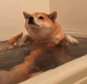 如何运用“凡学”晒娃？