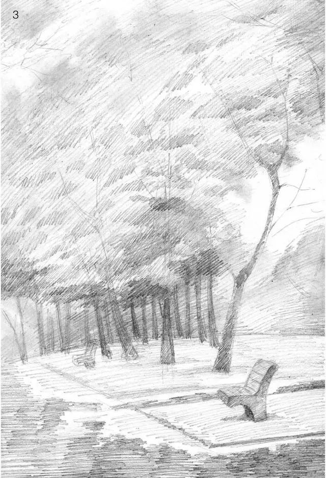 树林的画法简单又漂亮,如何画森林素描画教程