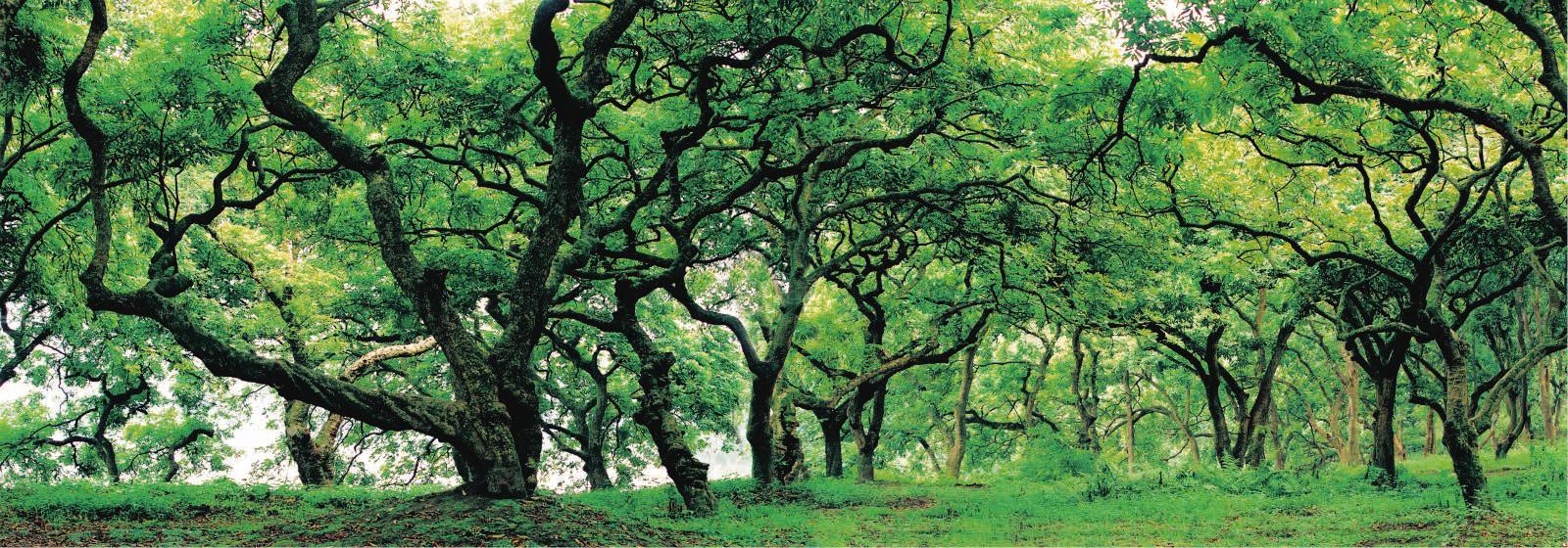 醉美泸州好地方,四川醉美泸州