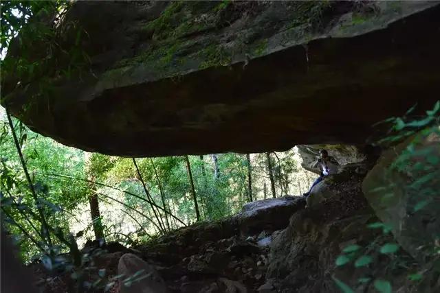 南部县我的故乡,我的家乡南部县