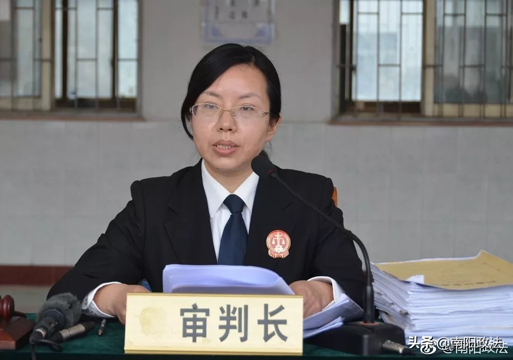 河南新野枪支案,孙金东南阳新野枪支案件审理结果