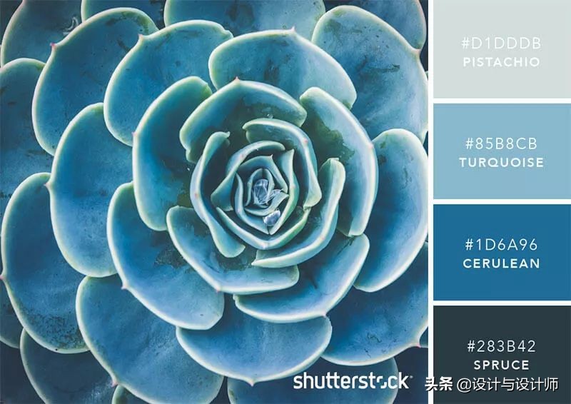 设计色彩总结200字左右,设计配色6种颜色