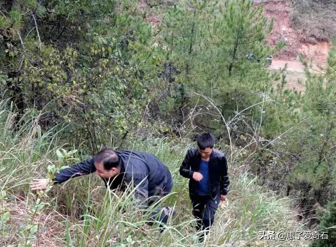 陕西新发现的玉矿,陕西发现紫绿色的玉