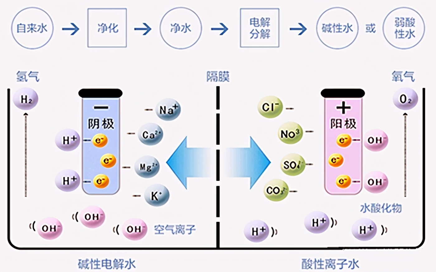 哪些家具是智商税,日本智商税排名