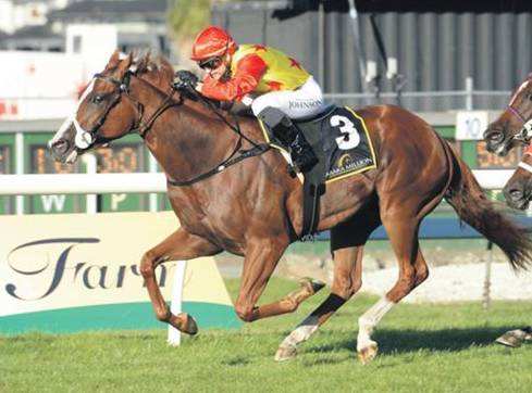 世界最近赛马运动,世界赛马历史排名榜单