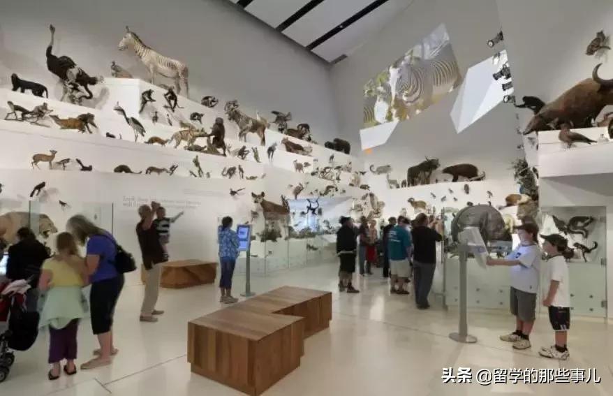 墨尔本亲子游旅游攻略大全,墨尔本亲子游攻略