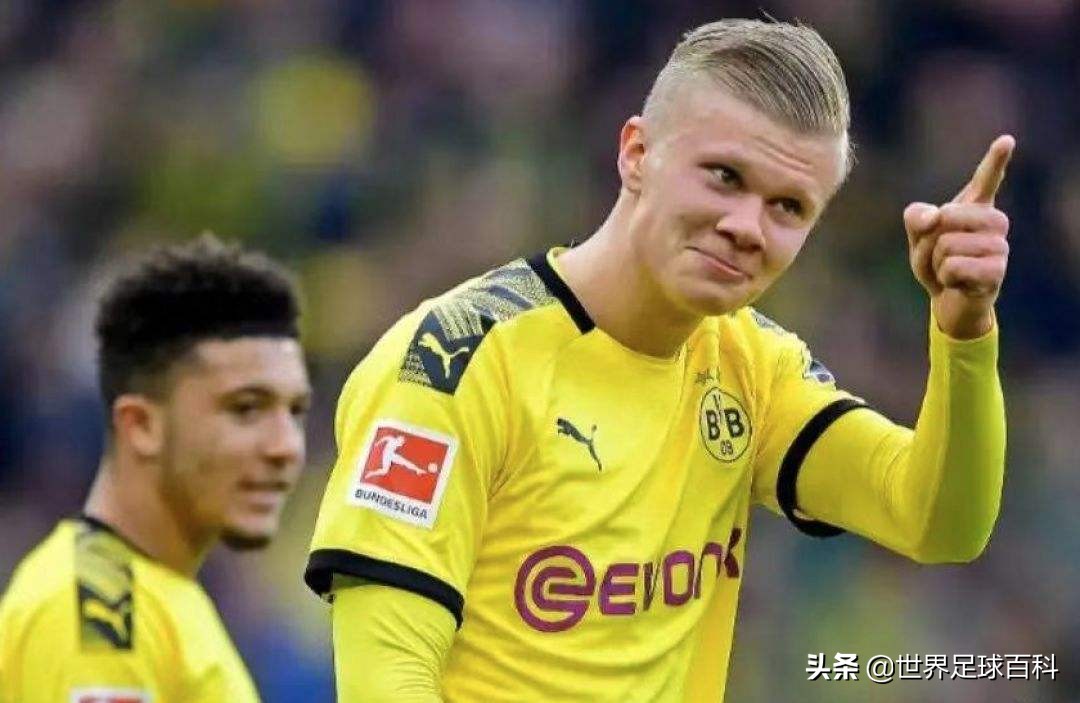 挪威新星哈兰德,挪威小将哈兰德厄德高