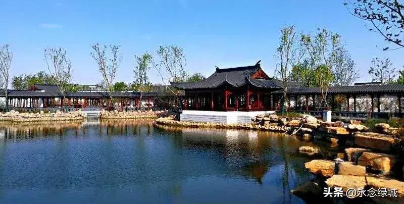 南阳世界月季大观园开幕邀请,南阳月季大观园门票现在免费政策