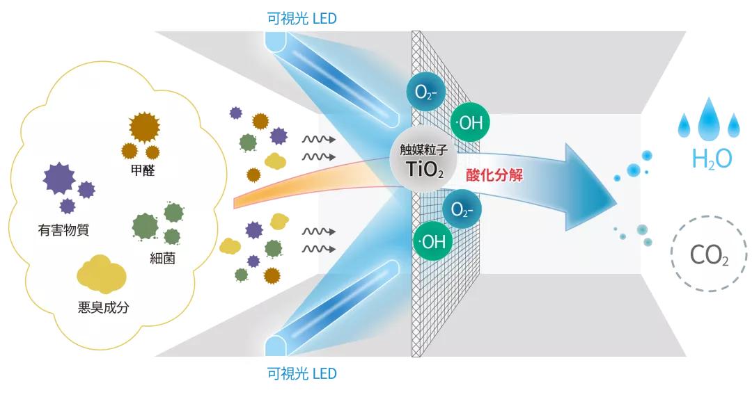 家庭装修最毒的不是甲醛是什么,最正确的开窗除甲醛方法