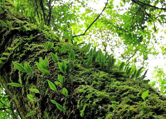 华南地区前五城市是哪些,华南地区第五大城市
