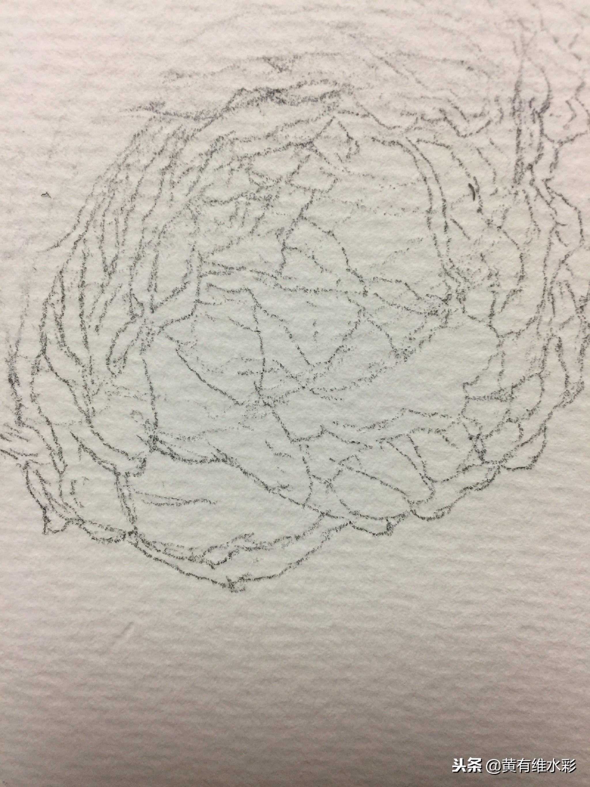 水彩绘画教程简单玫瑰,水彩步骤图花卉