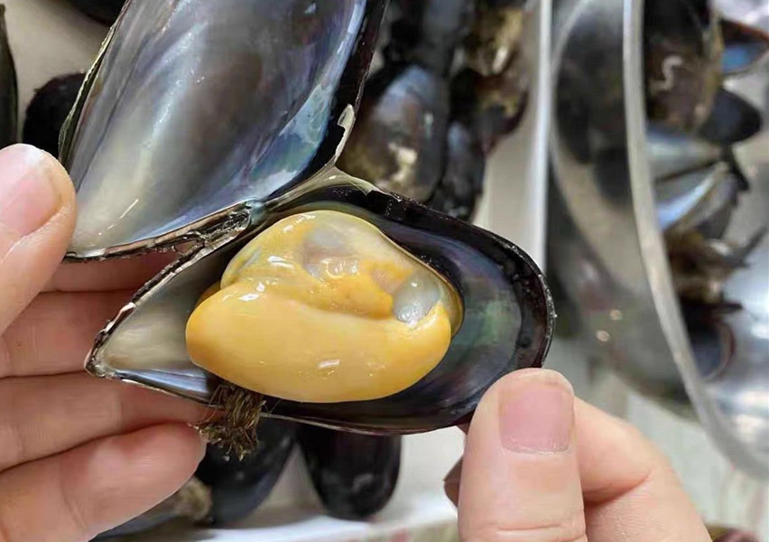 特色菜春天第一鲜,春天必吃的第一鲜