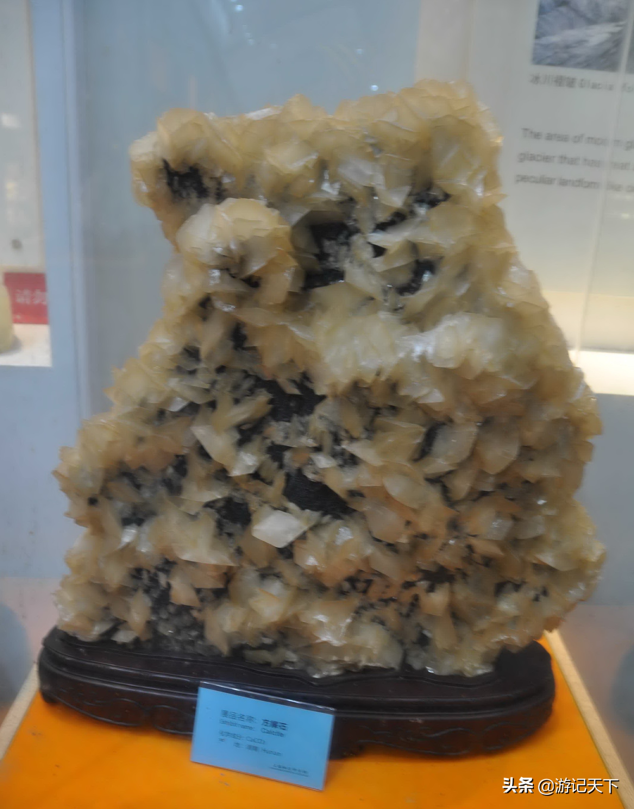 阿尼亚参观博物馆,上海地质科普馆游玩