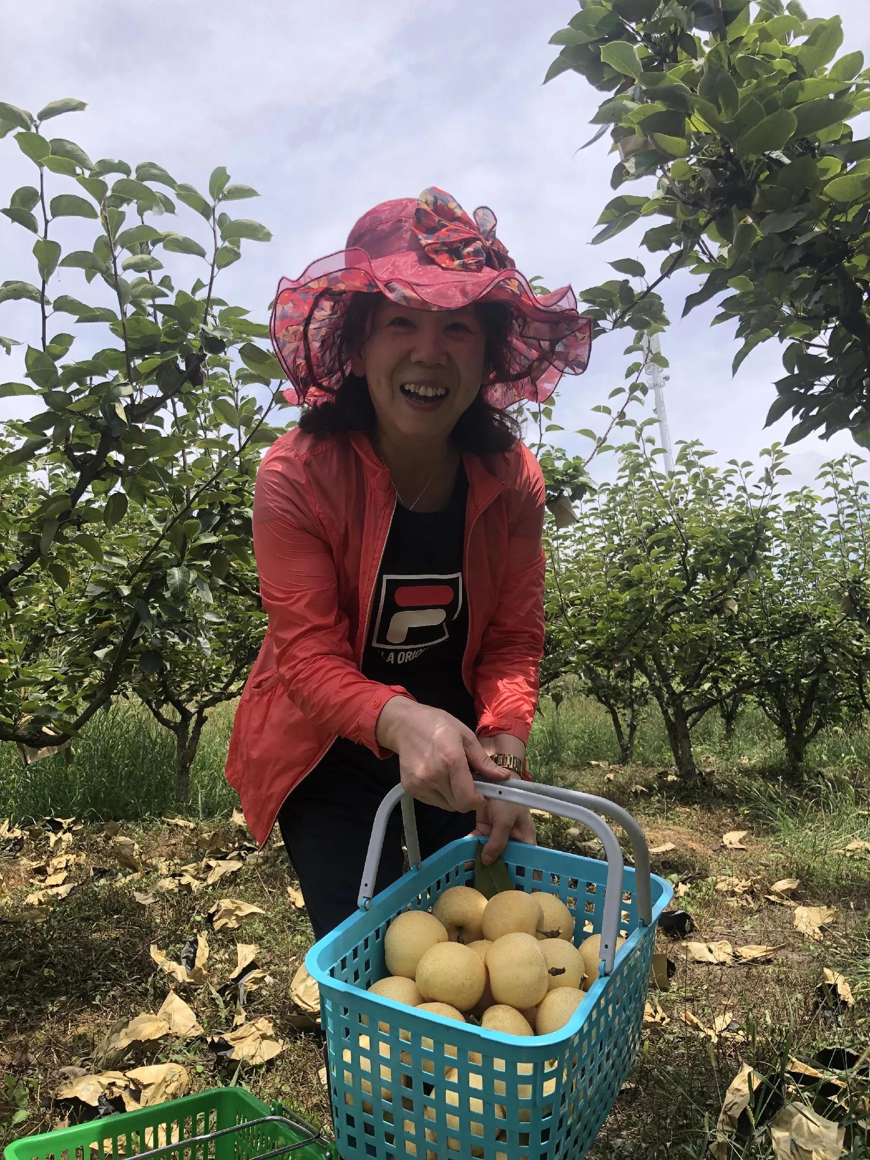 游莲花山有感,莲花山圣峰果业园