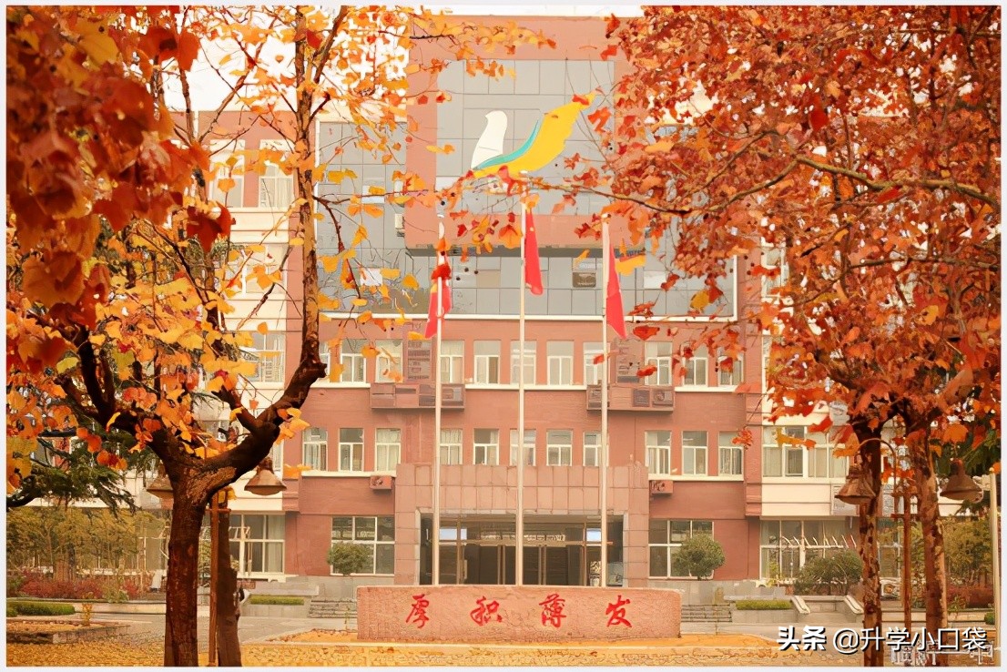 全国化学奥赛山东省一等奖,山东省高中化学竞赛奖项