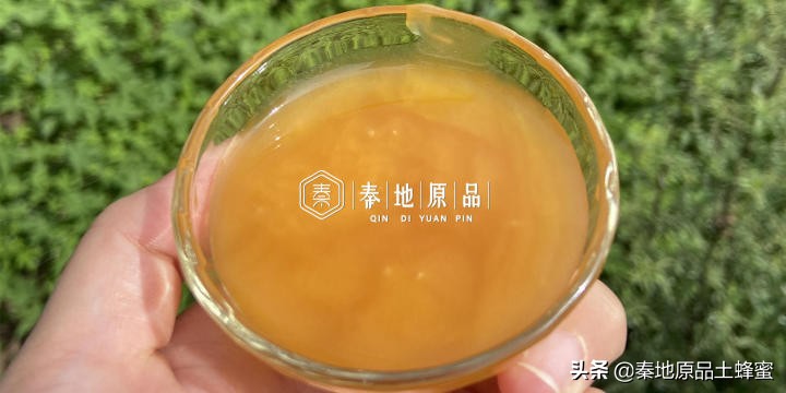 买到真蜂蜜怎么评价,买真的好的蜂蜜去哪里购