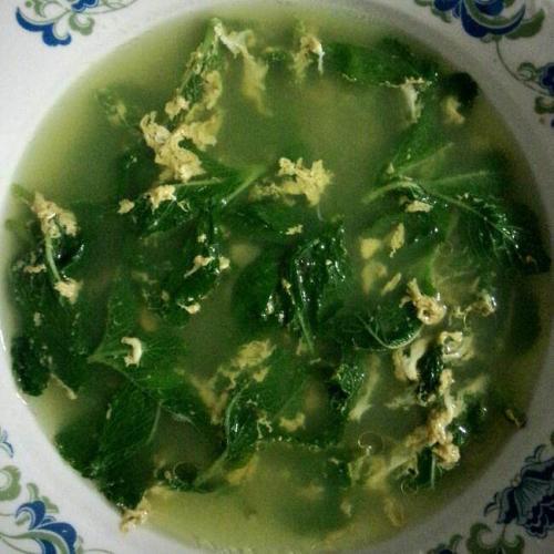 薄荷和猫薄荷是同一种植物吗,薄荷是什么颜色的茎