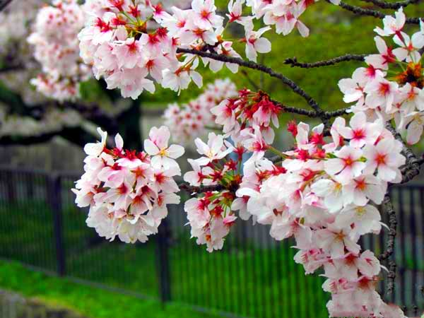 日本埼玉浦和,日本女团琦玉体育馆